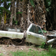Illustration for article titled Tropical Flooding Leaves Behind A Rotten Dodge Ram